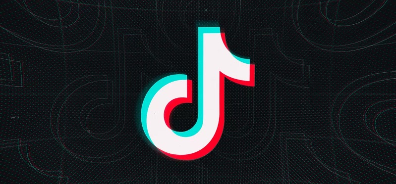 What is TikTok, and also just how to utilize it in an organization?