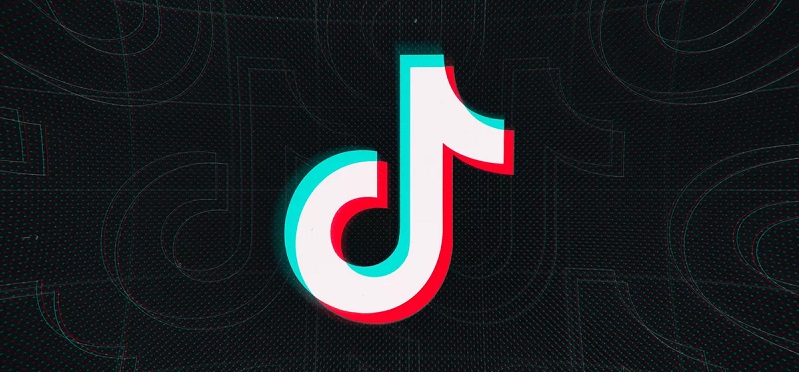  What is TikTok, and also just how to utilize it in an organization?