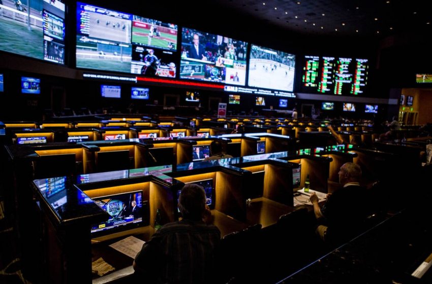The Sport Betting Deals You Really Need Now