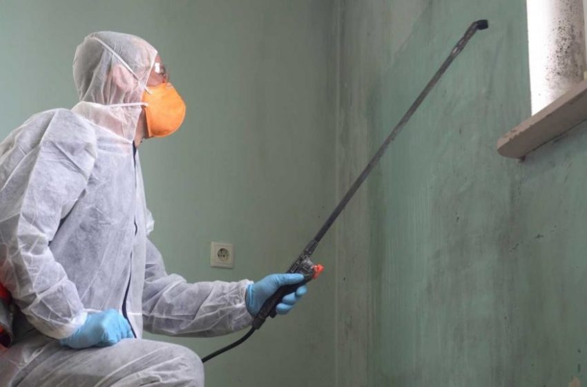 The reputation of the Mold Removal Company