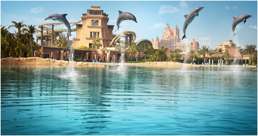  Just Keep Swimming At Dolphin Bay Dubai