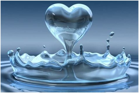Big Berkey Water Filter Benefits