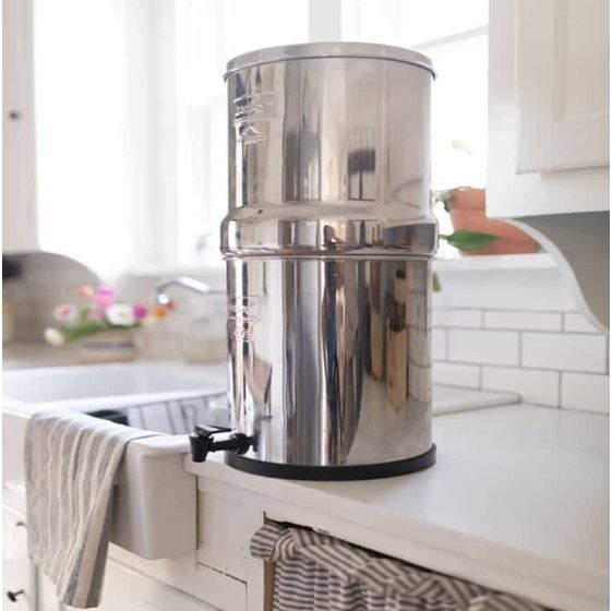 Reasons Why You Always Forget to Drink Water and the Importance of Berkey Water Filter