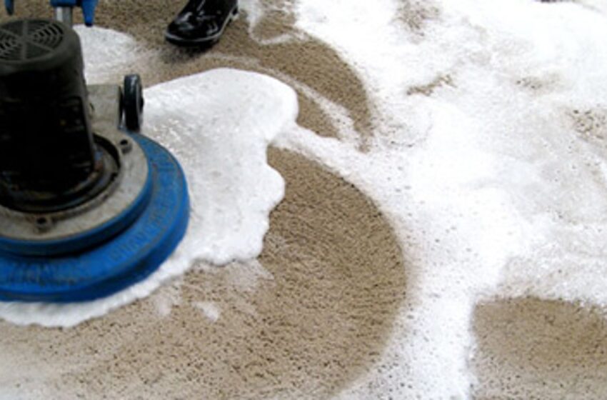  Which Is the Best – Carpet Steam Cleaning or Shampooing Method