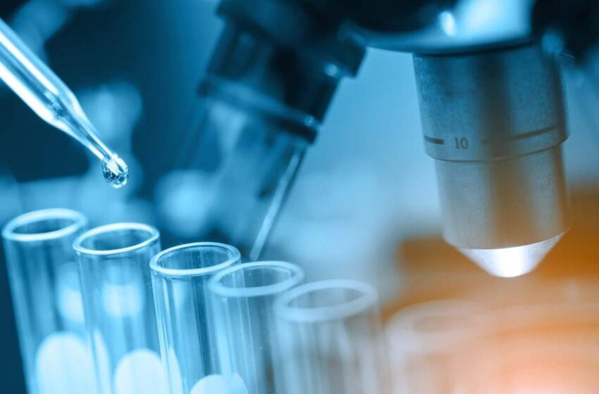 Role of contract research organization in clinical and pharmaceutical trails