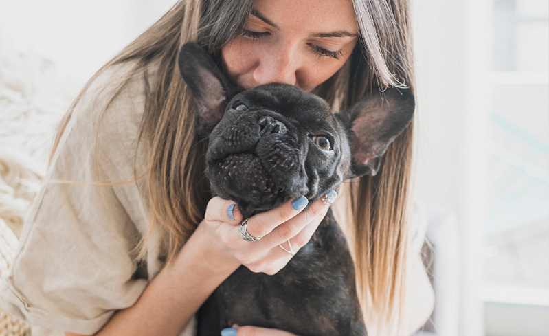 Get To Know More About Your Frenchie