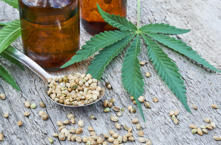 Know Inside and Outs Before Buying Strain From Dispensaries