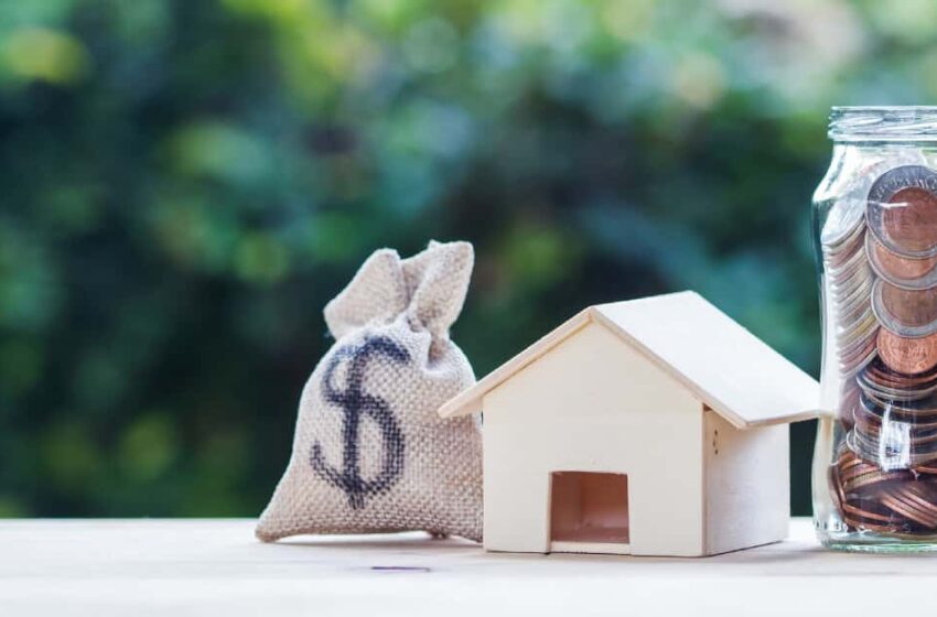 Looking for money lender? We will help you to find the best