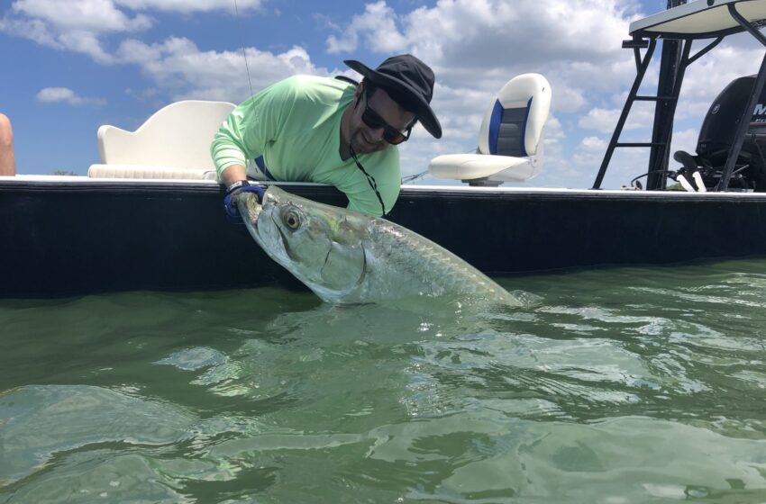  The Ultimate Guide About Marco Island Fishing Guide