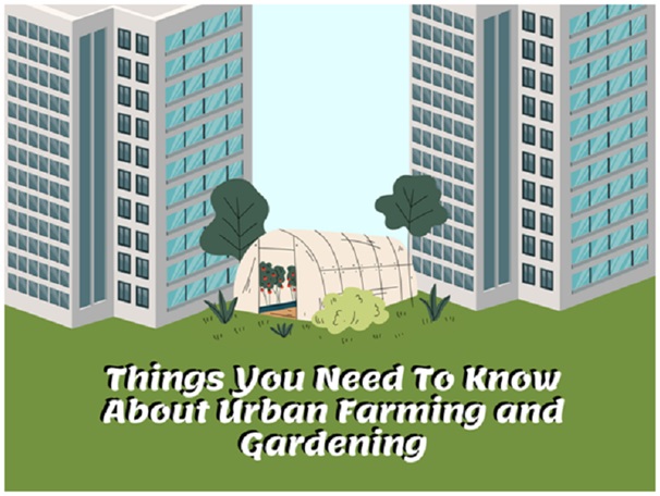 Things You Are Not Told About Urban Gardening in Singapore