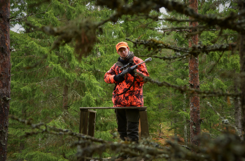 Steps You Should Take To Prepare For a Hunt