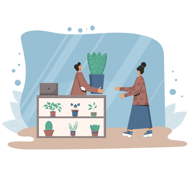 How to Start Your Indoor Garden and Why You Should Do It