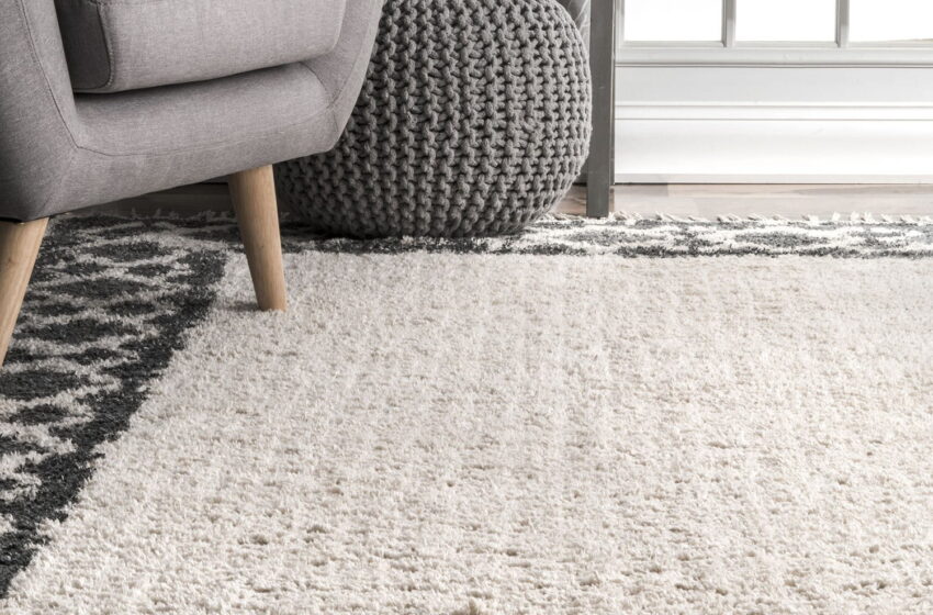  What is the softest, thickest carpet?