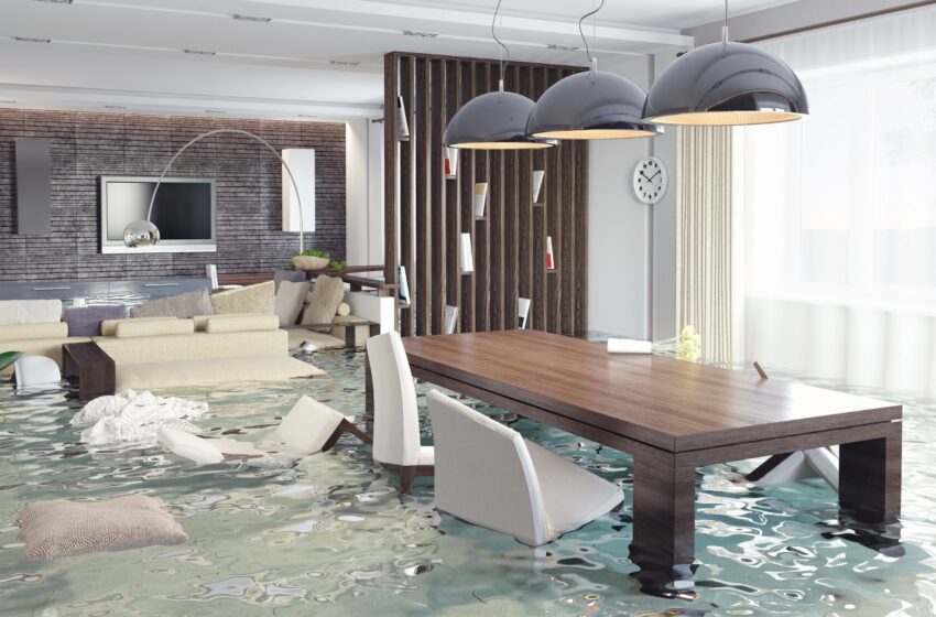 Things to Know Before Hiring a Water Damage Restoration Company