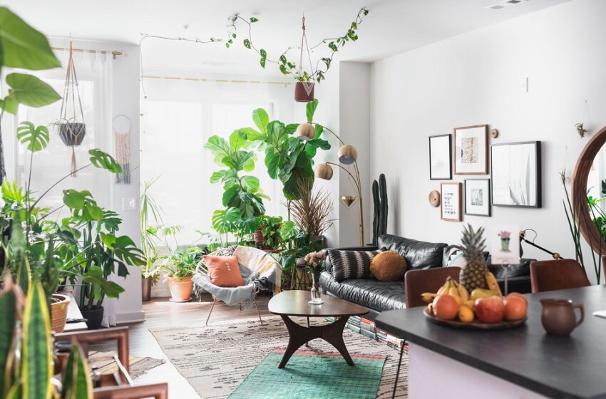 Your Guide to a Healthy Home