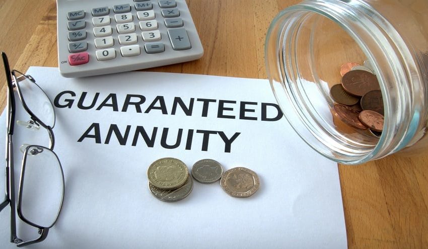  Guide to: Annuity and its uses