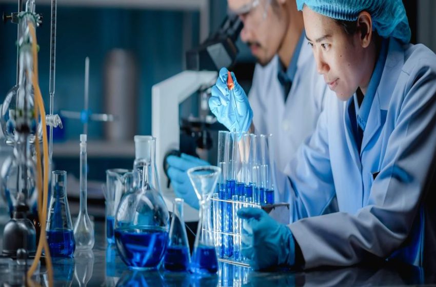 Chemical Evolution of Benzyl Methyl Ketone (BMK): From Synthesis to Application