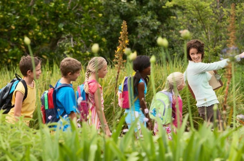 Planning a Memorable Educational Trip for Your Students