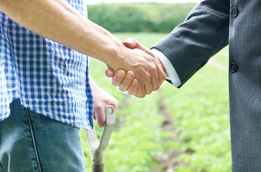  Natural Law: Farming and Litigation in the Age of GMO Plants
