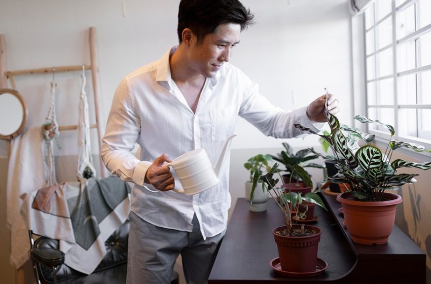  Common Care Mistakes New Plant Owners Make
